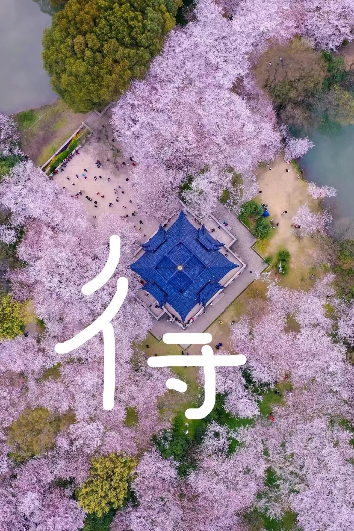 &#77;&#75;&#23448;&#26041;&#32593;&#39029;&#29256;&#45;&#77;&#75;&#40;&#20013;&#22269;&#41;